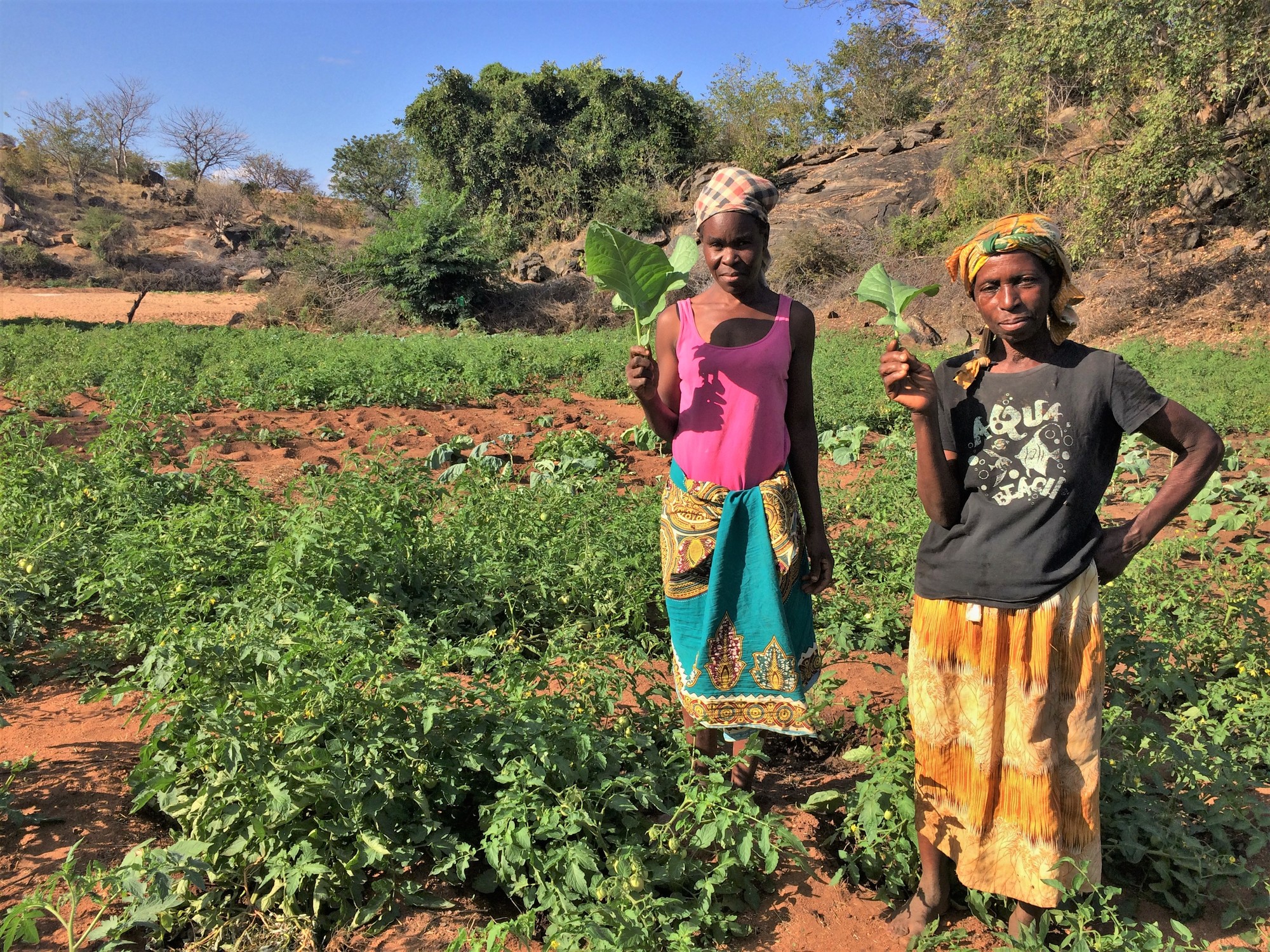 Two women standing in a field